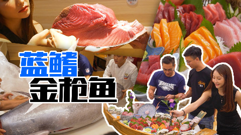 【品城记】广州︱436斤重、价值十多万的顶级蓝鳍金枪鱼,当然是约维维一起来吃啦!